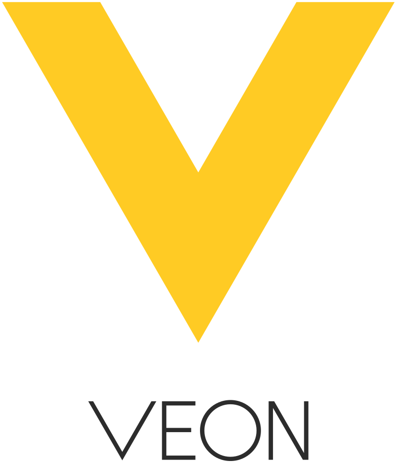 Ana de Kok Reyes - Group Director Financial Control and  Group Diversity & Inclusion Officer at VEON