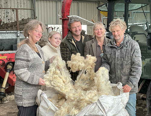 Lennart van Bolderick - Wool Project