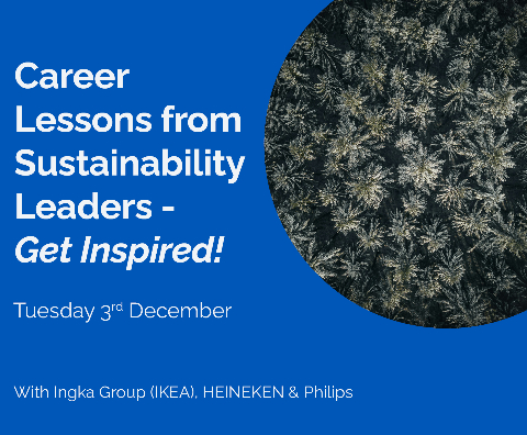 Career Lessons from Sustainability Leaders – Get Inspired!