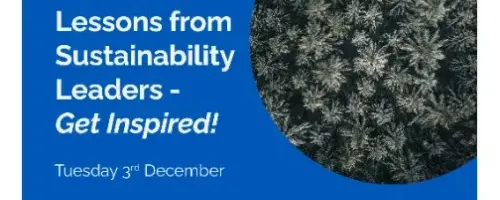 Career Lessons from Sustainability Leaders – Get Inspired!