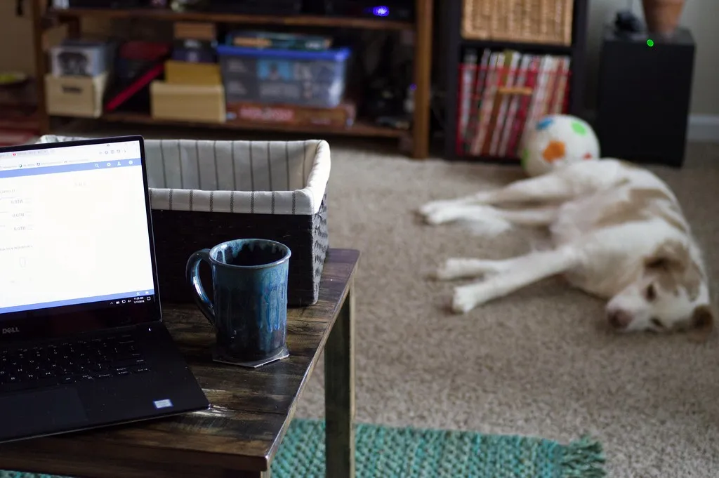 Top 7 Benefits of Working From Home