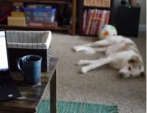 Top 7 Benefits of Working From Home