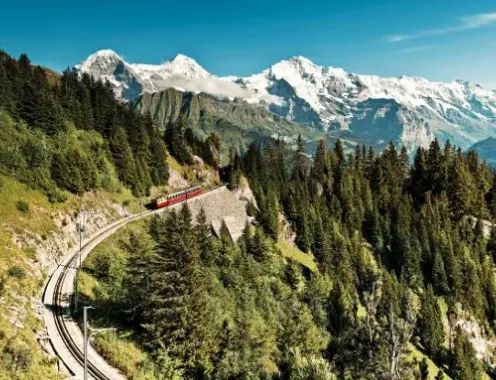 Why Switzerland is the 